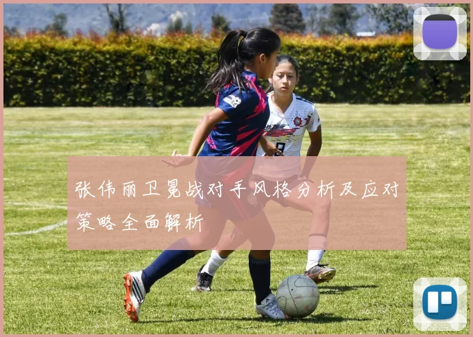 张伟丽卫冕战对手风格分析及应对策略全面解析